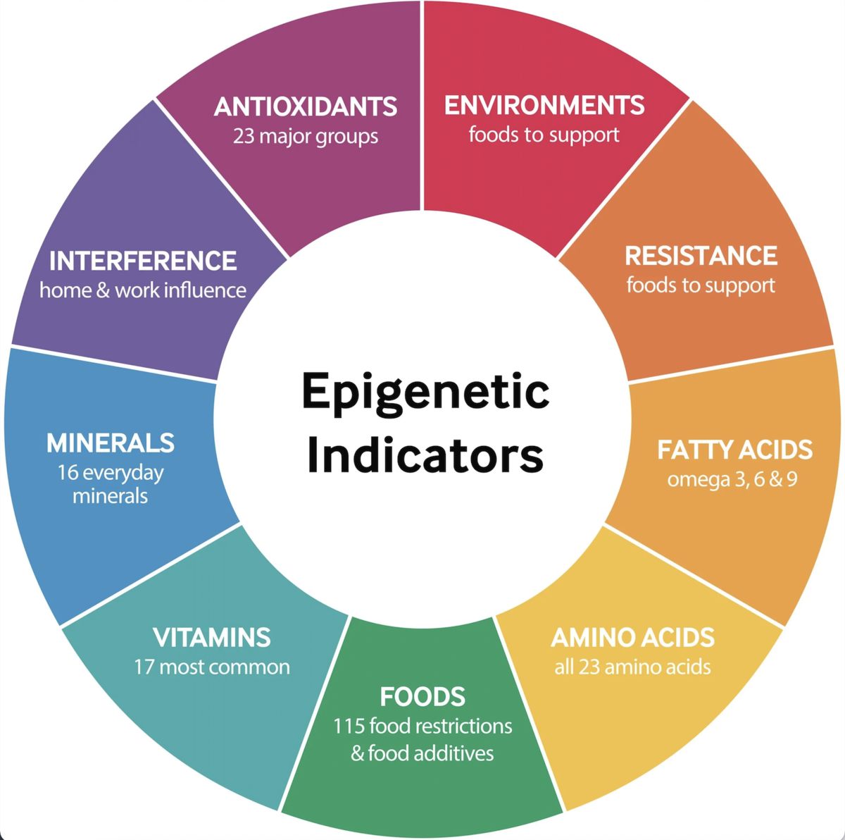 Circular diagram illustrating various epigenetic indicators including antioxidants, environments, resistance, minerals, vitamins, fatty acids, and amino acids, with corresponding color-coded lists.