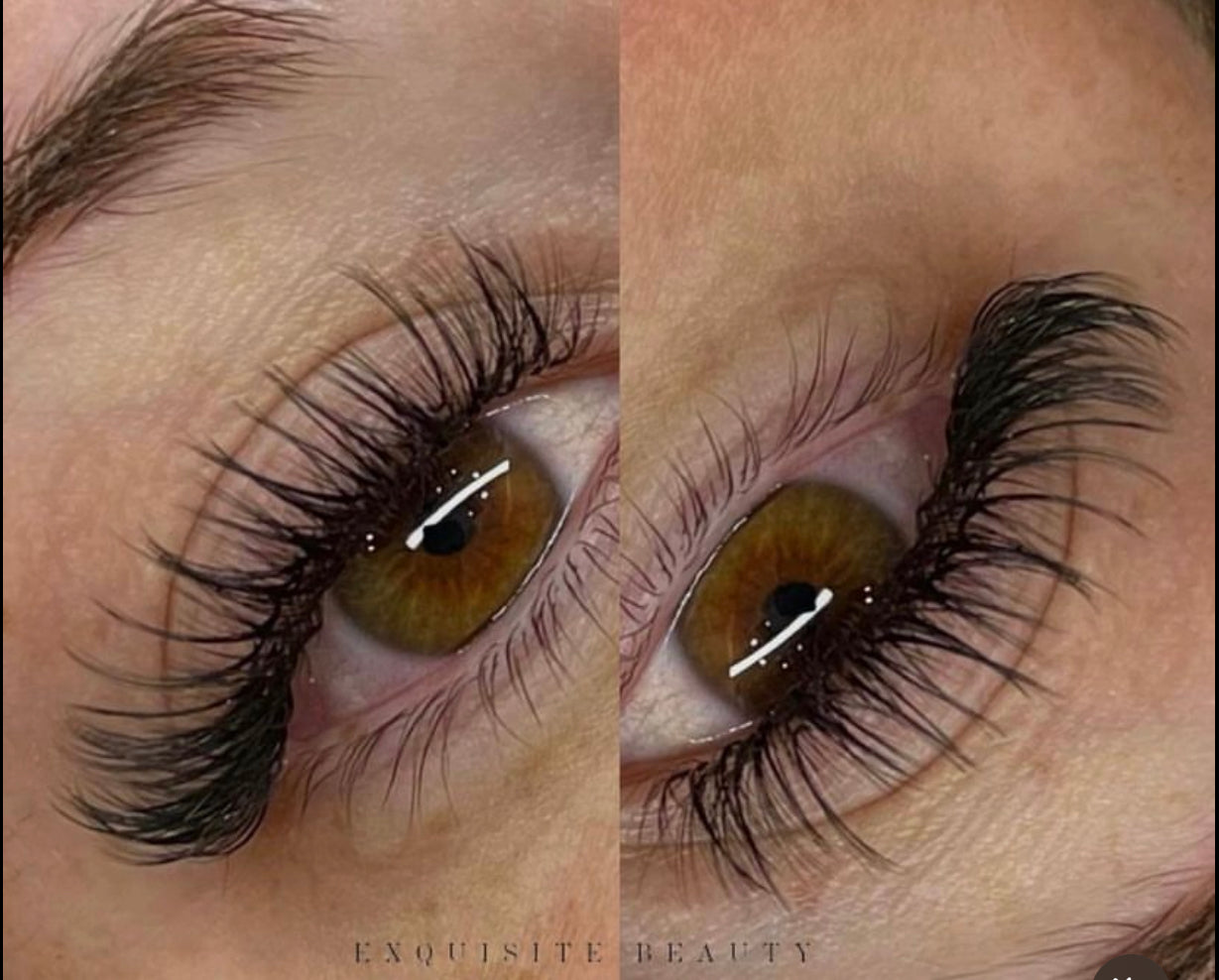lash extensions