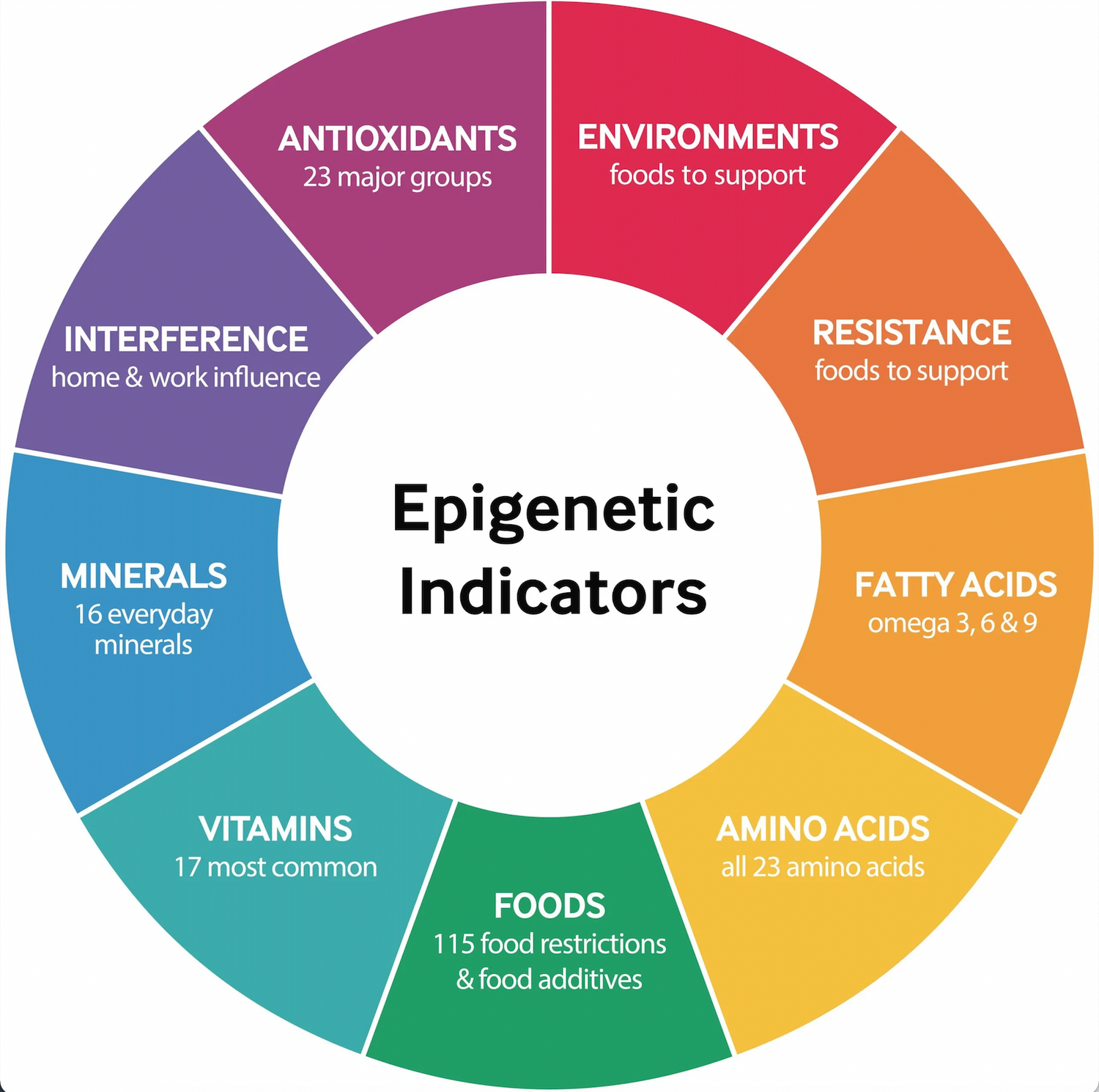 Circular diagram illustrating various epigenetic indicators including antioxidants, environments, resistance, minerals, vitamins, fatty acids, and amino acids, with corresponding color-coded lists.