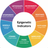 Circular diagram illustrating various epigenetic indicators including antioxidants, environments, resistance, minerals, vitamins, fatty acids, and amino acids, with corresponding color-coded lists.
